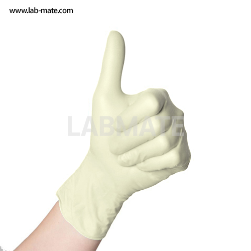랩메이트,Labryday, Latex Gloves,라텍스 글러브 [기획전_인기현일제품총집합] [라텍스],LABRYDAY